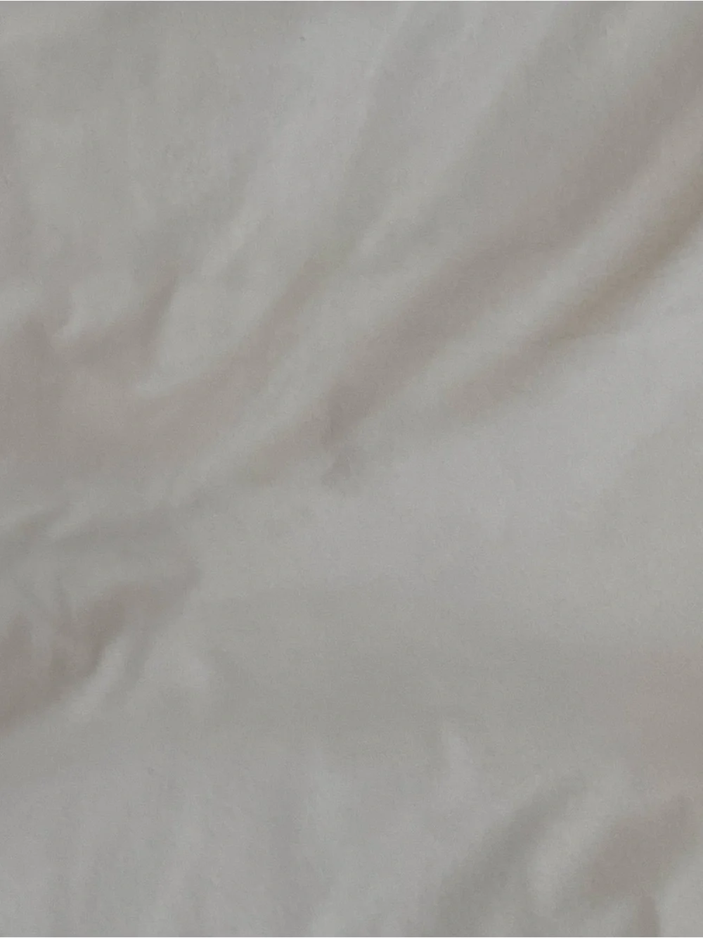 West Elm Faux Fur Plush Chinchilla/Snow Leopard Throw 60